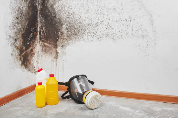 Best Commercial Mold Removal  in Ke Arthur, LA