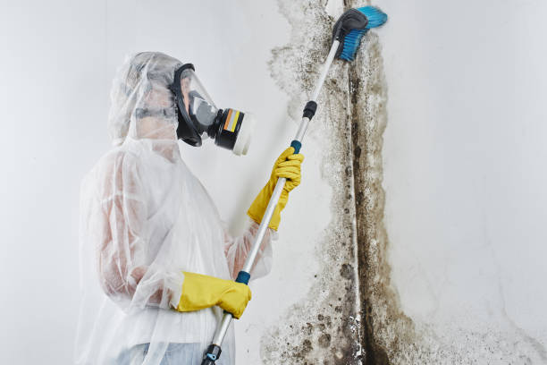 Best Emergency Mold Removal  in Ke Arthur, LA