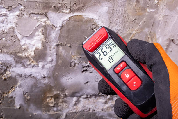 Best Mold Remediation Services  in Ke Arthur, LA