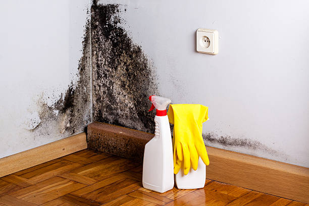 Best Water Damage Restoration  in Ke Arthur, LA